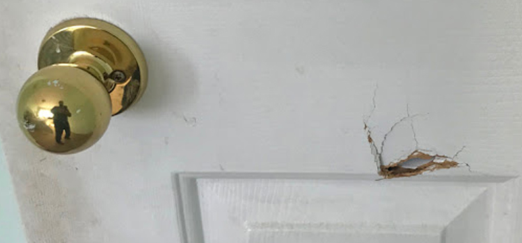 interior door hole repair Martinez
